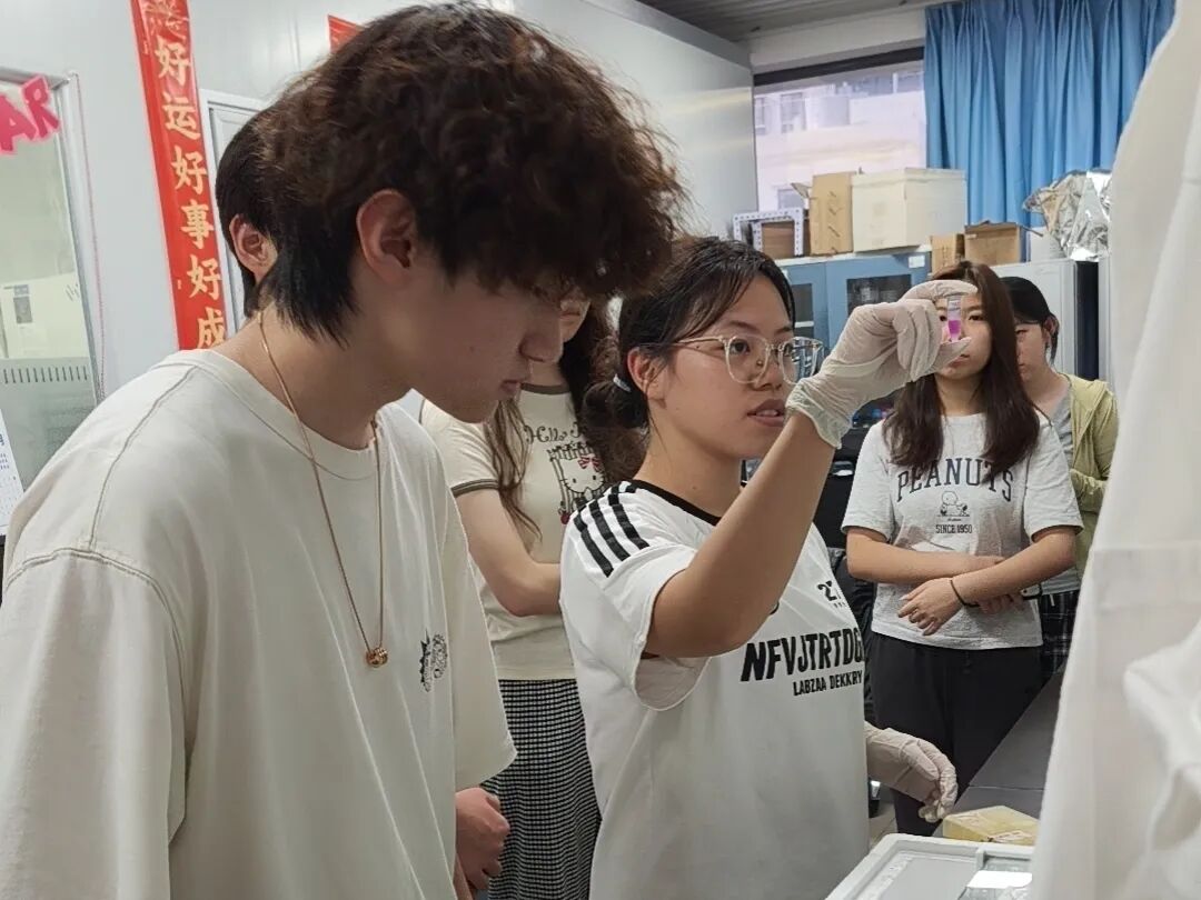 项目回顾 | 生物3D打印——组织再生与器官重建的研究 项目回顾 | 生物3D打印——组织再生与器官重建的研究