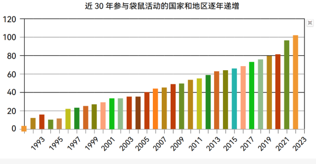 袋鼠竞赛值不值得冲 参赛规则与含金量解析