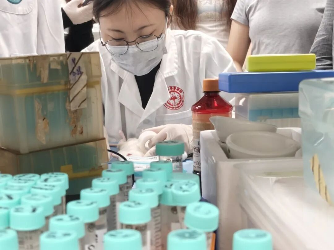 项目回顾 | 生物3D打印——组织再生与器官重建的研究 项目回顾 | 生物3D打印——组织再生与器官重建的研究