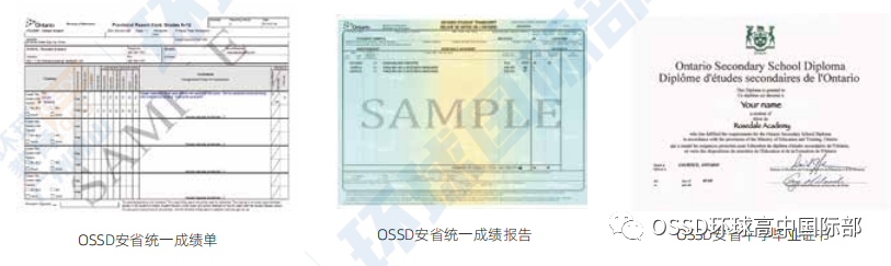 2027英本申请即将开启!UCAS新政下,OSSD让申请更从容! 2027英本申请即将开启!UCAS新政下,OSSD让申请更从容!