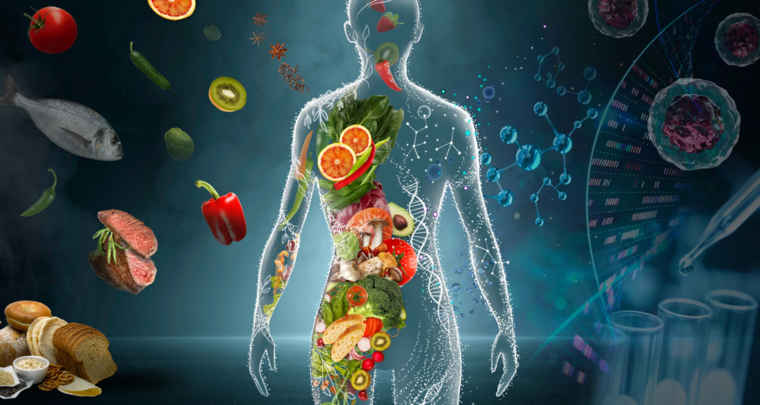 营养学在美国:一门连接食物、健康与未来的科学 营养学在美国:一门连接食物、健康与未来的科学
