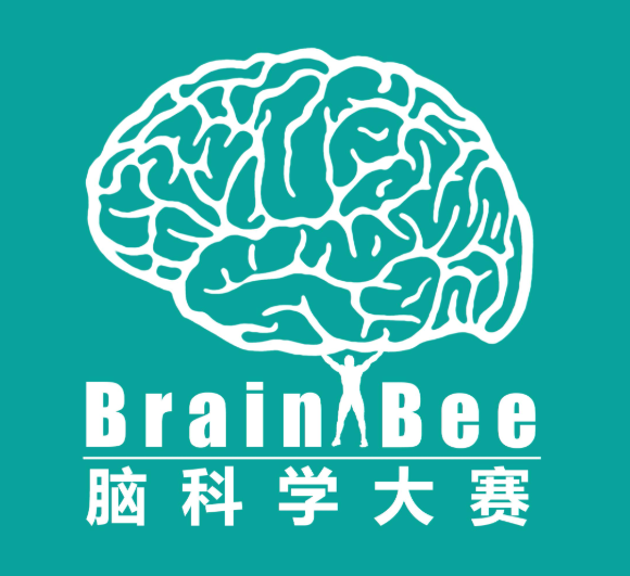 从Brain Bee到 USABO:覆盖从初中到申请季的生物竞赛长线地图! 从Brain Bee到 USABO:覆盖从初中到申请季的生物竞赛长线地图!