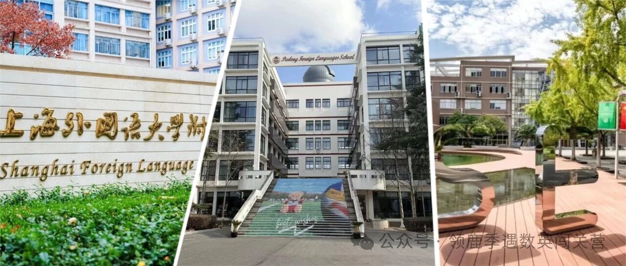 能上岸三公的娃究竟什么样？上海三公小升初解析
