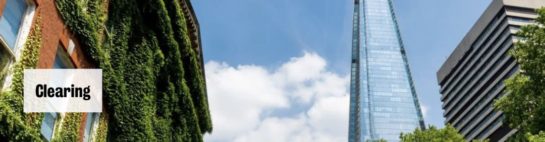 UCL KCL 爱大 曼大开放补录 部分专业只招国际生 UCL KCL 爱大 曼大开放补录 部分专业只招国际生