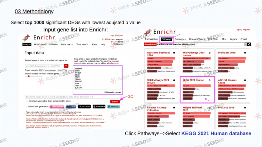 全申G5太冒险 3封offer打破质疑 EPQ直击癌症医学方向 用独立科研与帝国理工学术同频 全申G5太冒险 3封offer打破质疑 EPQ直击癌症医学方向 用独立科研与帝国理工学术同频