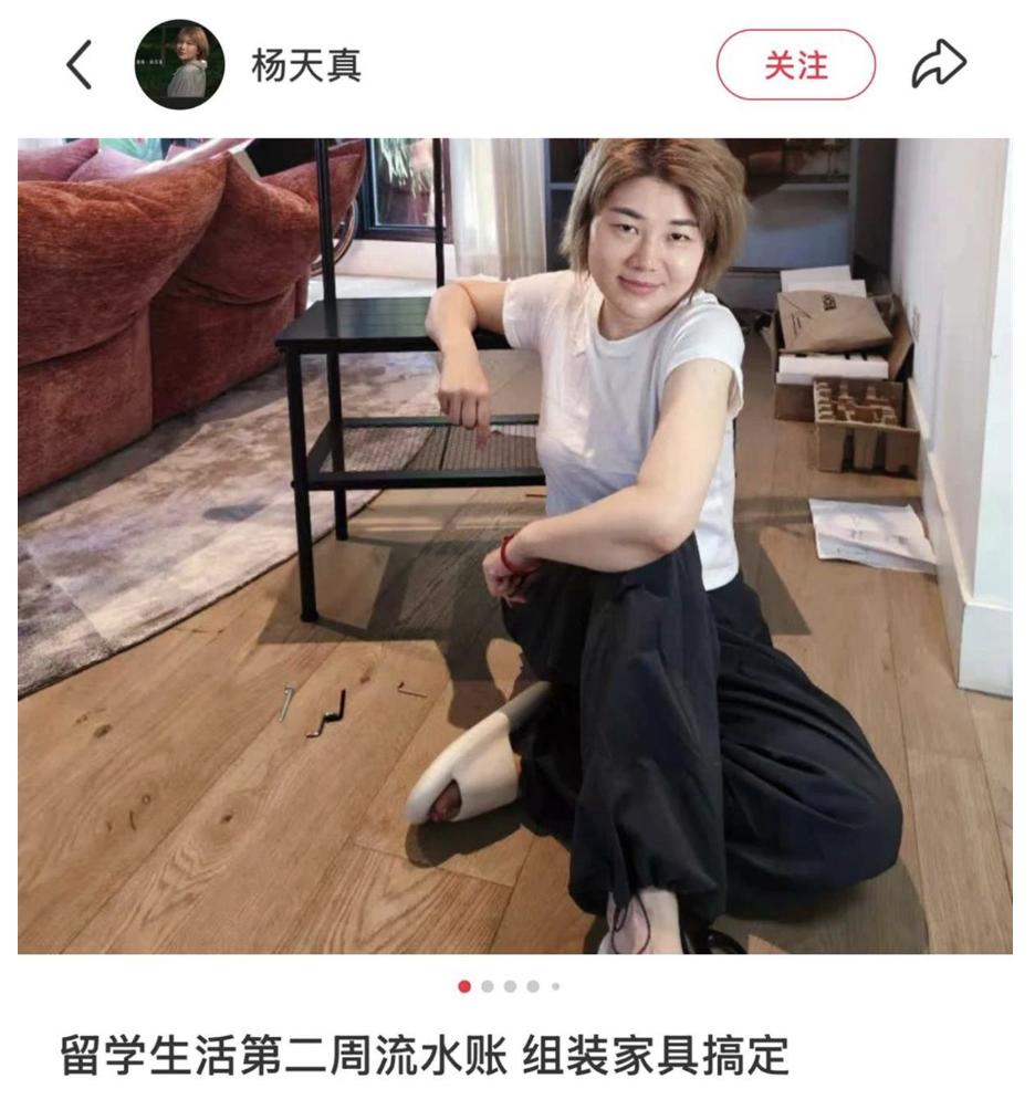 金晨退圈去留学?宁艺卓、钟美美、迅猛龙为啥都扎堆想留学? 金晨退圈去留学?宁艺卓、钟美美、迅猛龙为啥都扎堆想留学?