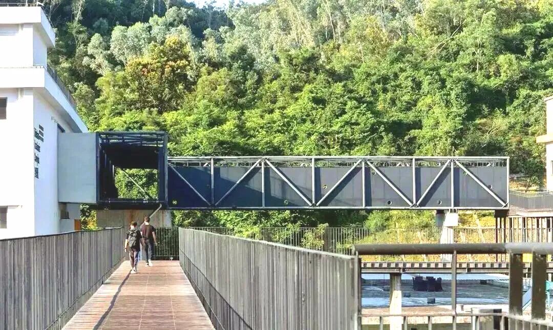 香港插班热度飙升 DSE报考人数创新高 深圳德萃学校提供港式教育新选择