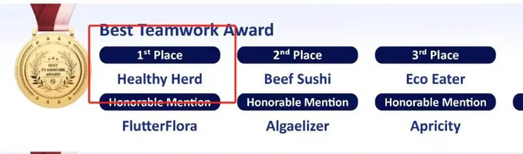 2024 MEC Best Teamwork Award获奖名单