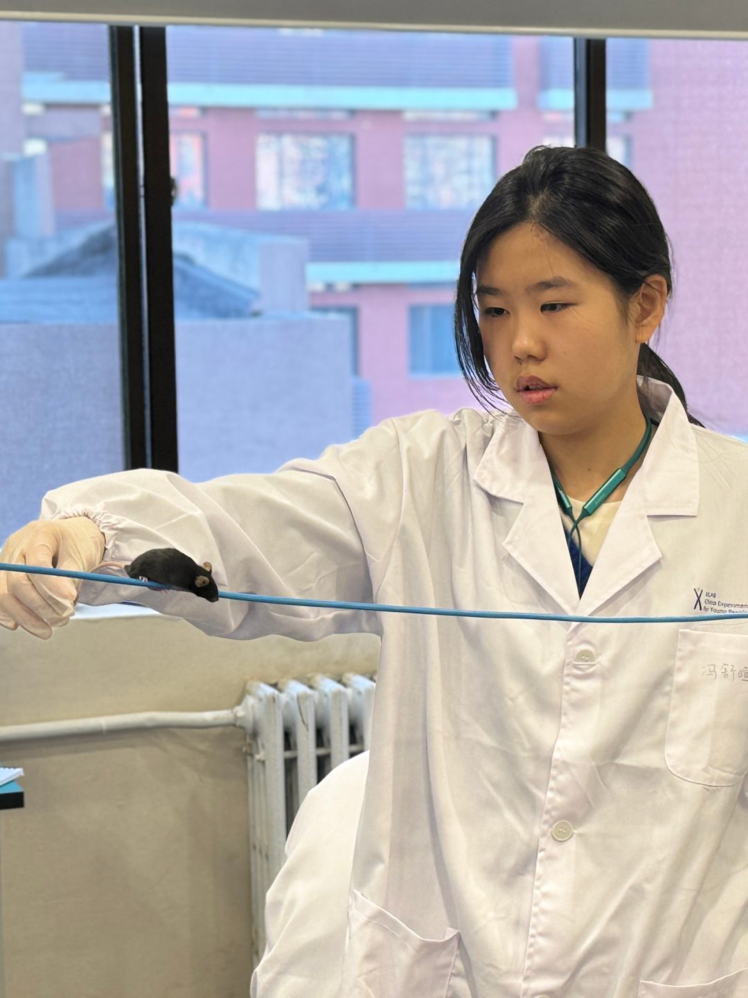 【生物医学科研】硬核神经科学实践:亲手操作动物行为学实验,获取脑疾病研究的第一手数据 【生物医学科研】硬核神经科学实践:亲手操作动物行为学实验,获取脑疾病研究的第一手数据