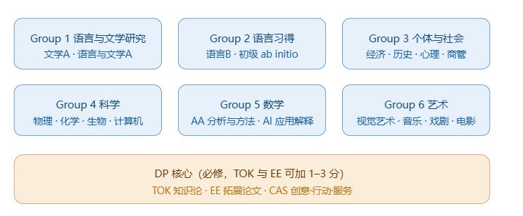 选课前必看的IB六大课程组完整解析
