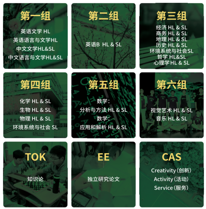 沪上热门国际学校课程设置和选课要求大盘点 覆盖星河湾 WLSA 世外 平和 沪上热门国际学校课程设置和选课要求大盘点 覆盖星河湾 WLSA 世外 平和