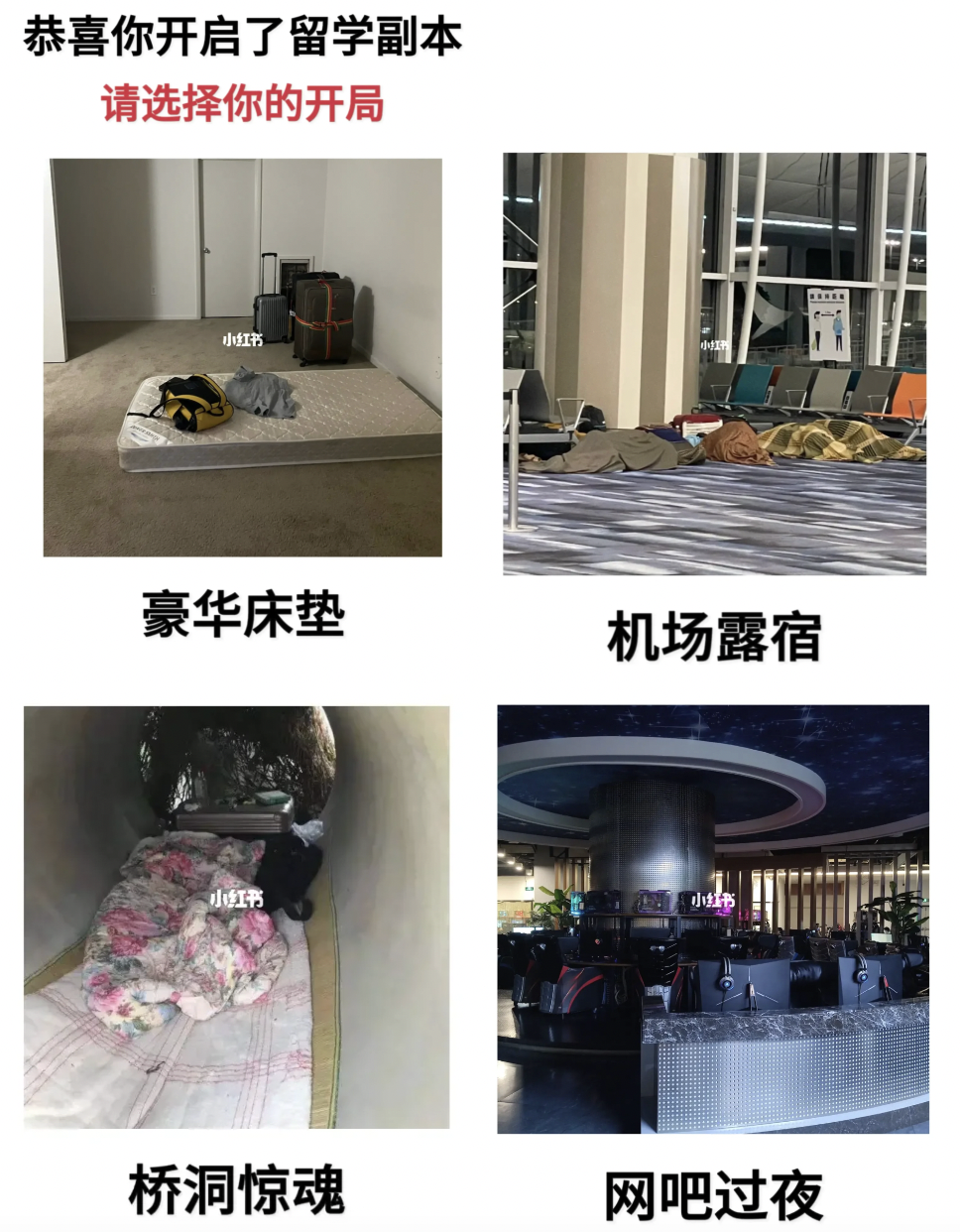留子都节俭到了什么程度...在美国，我靠这些省钱技巧活过整个学期！