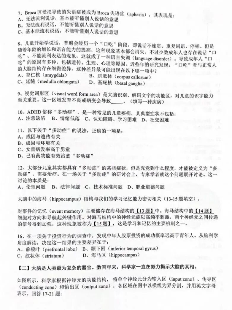 BrainBee脑科学大赛考什么?考前4个月如何冲刺备考BrainBee? BrainBee脑科学大赛考什么?考前4个月如何冲刺备考BrainBee?