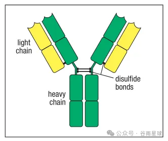 芝大ED0刚刚放榜,今年有个新变化 芝大ED0刚刚放榜,今年有个新变化
