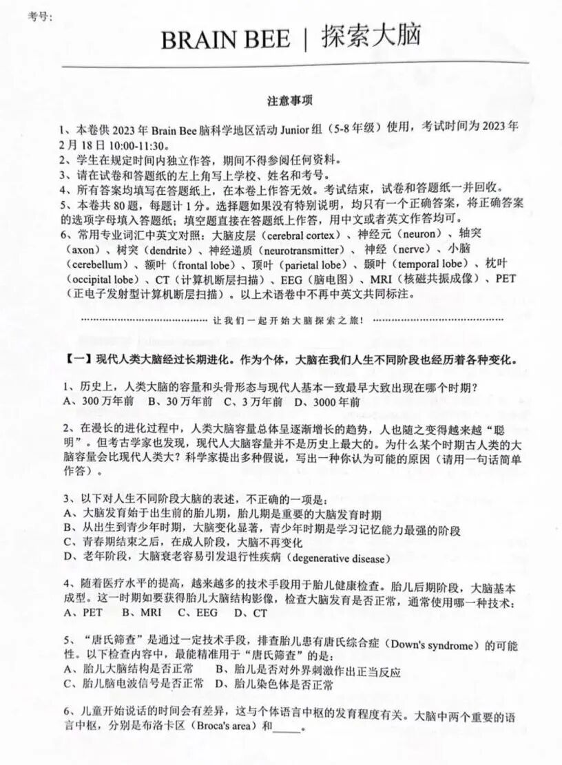 BrainBee脑科学大赛考什么?考前4个月如何冲刺备考BrainBee? BrainBee脑科学大赛考什么?考前4个月如何冲刺备考BrainBee?