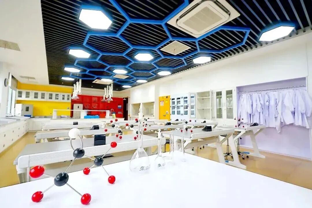 上海宋庆龄学校国际部小学插班招生 26-27学年