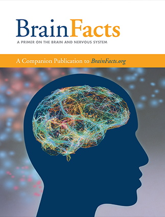 Brain Facts教材封面