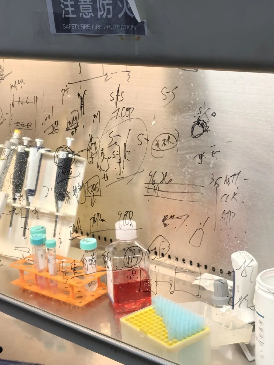 项目反馈 | 多肽的化学合成与生物活性研究 项目反馈 | 多肽的化学合成与生物活性研究