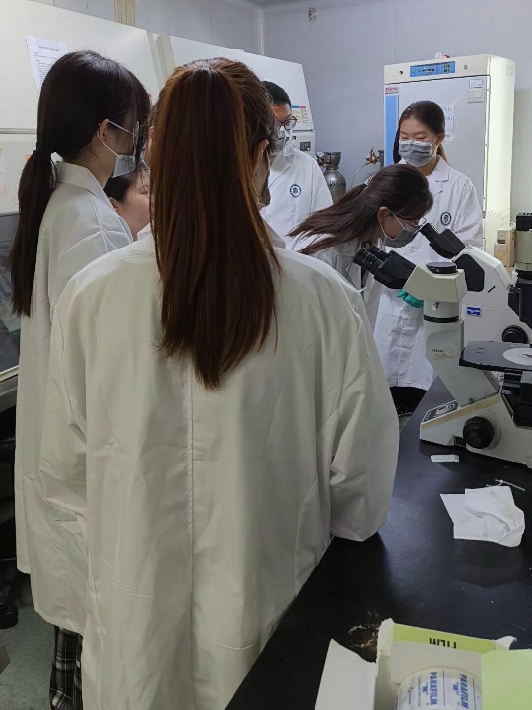 项目反馈 | 多肽的化学合成与生物活性研究 项目反馈 | 多肽的化学合成与生物活性研究