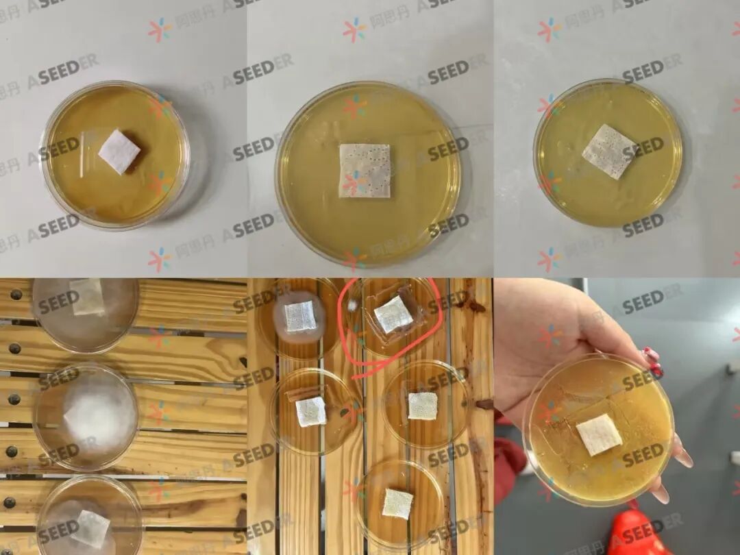 EPQ人物 中性pH环境对女性更友好 她要去帝国理工