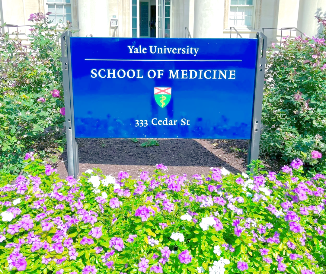 耶鲁大学医学院医疗人工智能健康科学硕士课程 耶鲁大学医学院医疗人工智能健康科学硕士课程