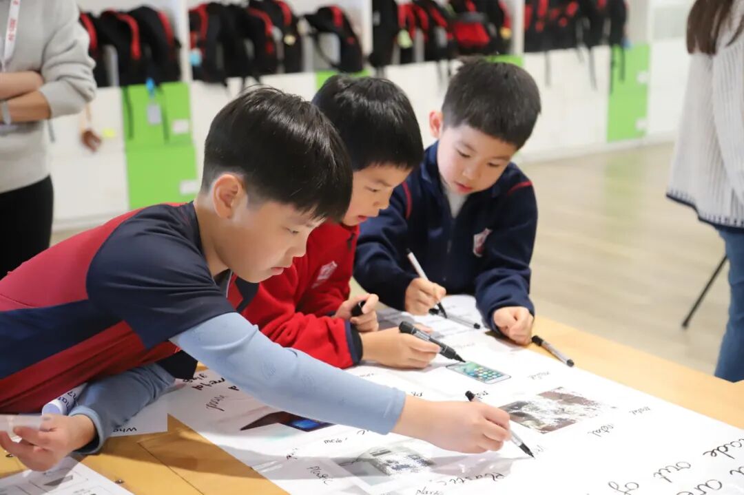 课程解读|上海德闳小学3-5年级英语:不止于语言,用英文看见更大的世界