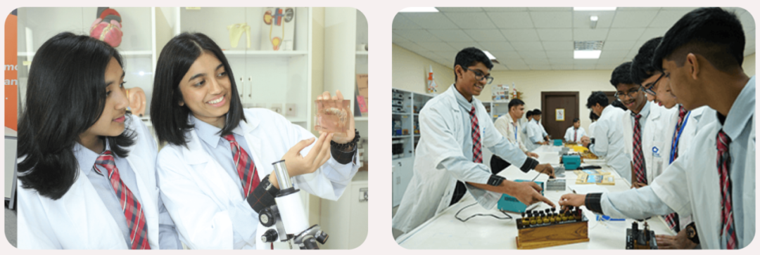 ASPAM印度国际学校(Aspam Indian International Private School)入学指南 ASPAM印度国际学校(Aspam Indian International Private School)入学指南