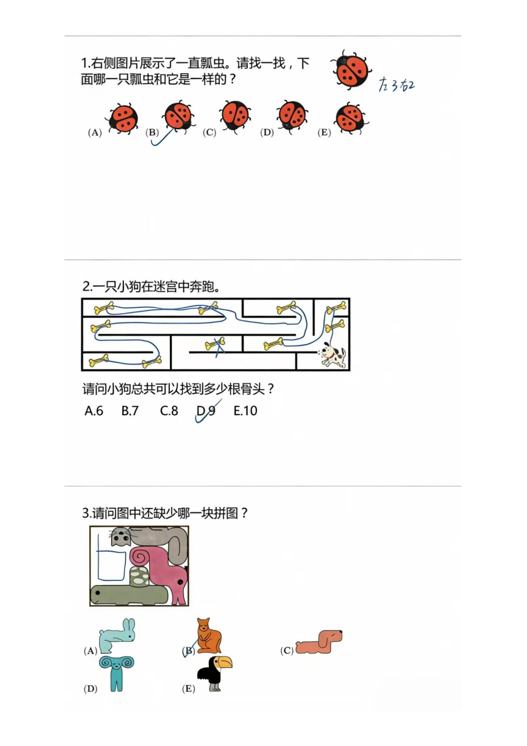 袋鼠数学竞赛A等级考察哪些知识点?1-2年级真题下载 袋鼠数学竞赛A等级考察哪些知识点?1-2年级真题下载