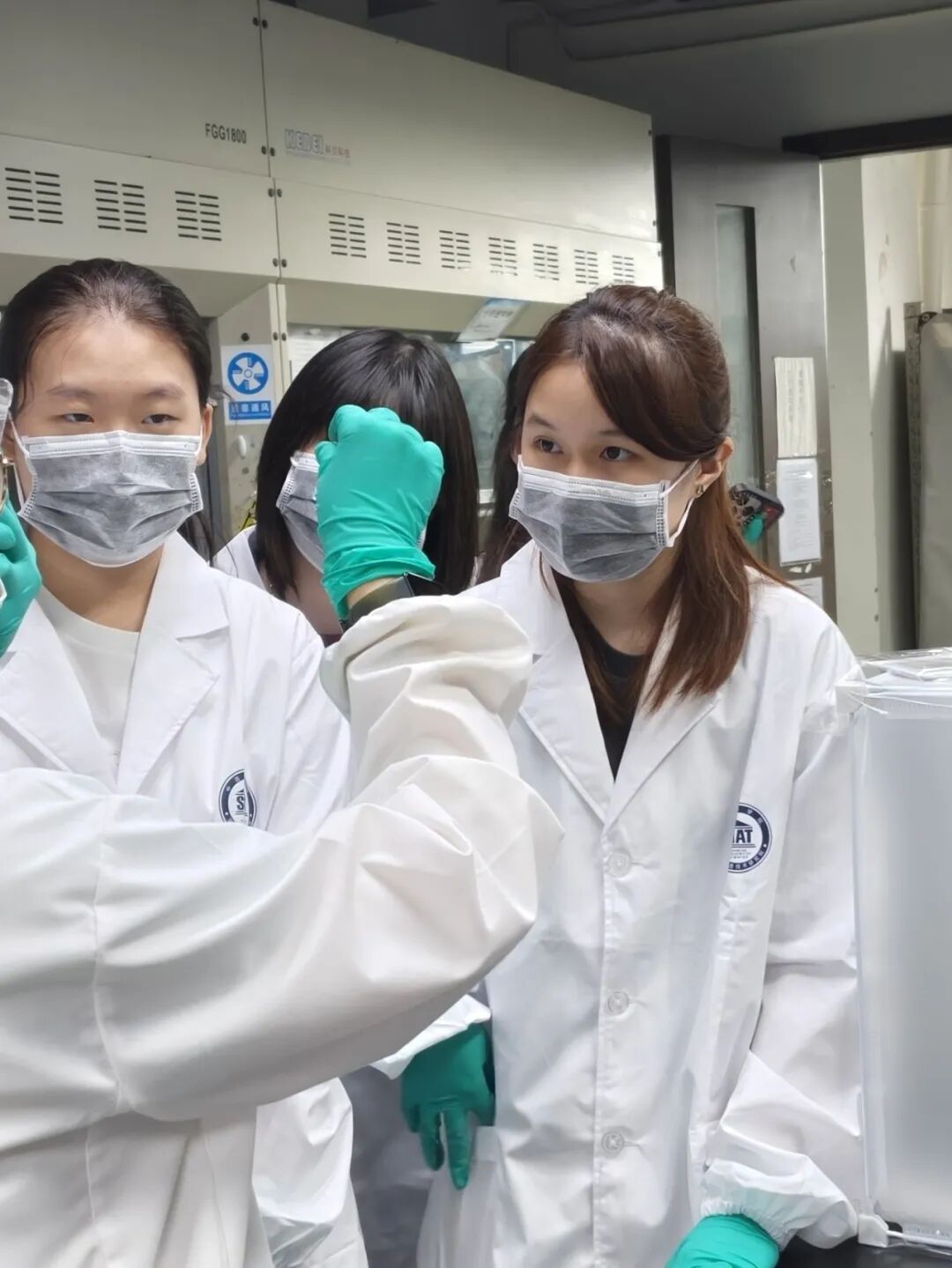 项目反馈 | 多肽的化学合成与生物活性研究 项目反馈 | 多肽的化学合成与生物活性研究