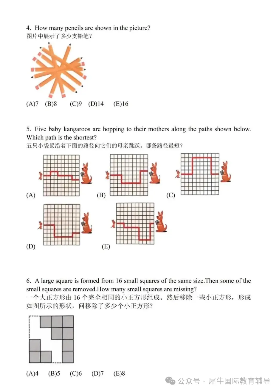10.2 2027 袋鼠数学竞赛报名开启!报名方式、备考攻略、配套培训课一文全解