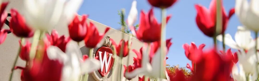 威斯康星大学麦迪逊分校本科升学通道:GPA 3.0 起,免标化成绩,四年完成学业 威斯康星大学麦迪逊分校本科升学通道:GPA 3.0 起,免标化成绩,四年完成学业