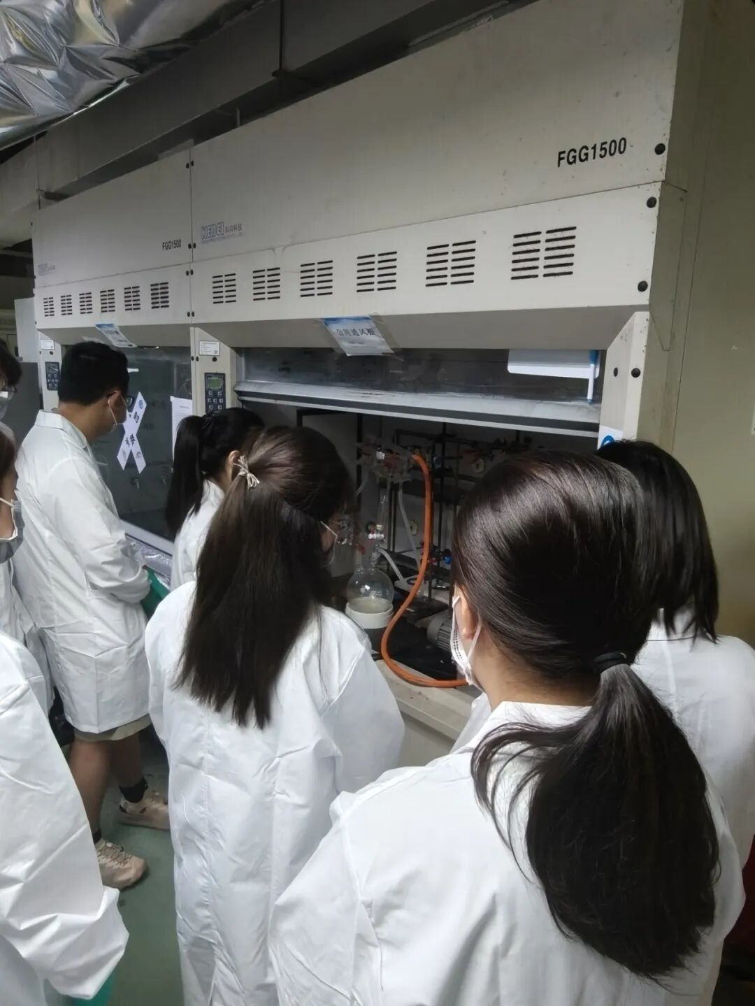 项目反馈 | 多肽的化学合成与生物活性研究 项目反馈 | 多肽的化学合成与生物活性研究