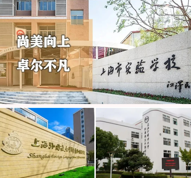 19%的报录比刺痛了谁?解读上海三公学校备考规划