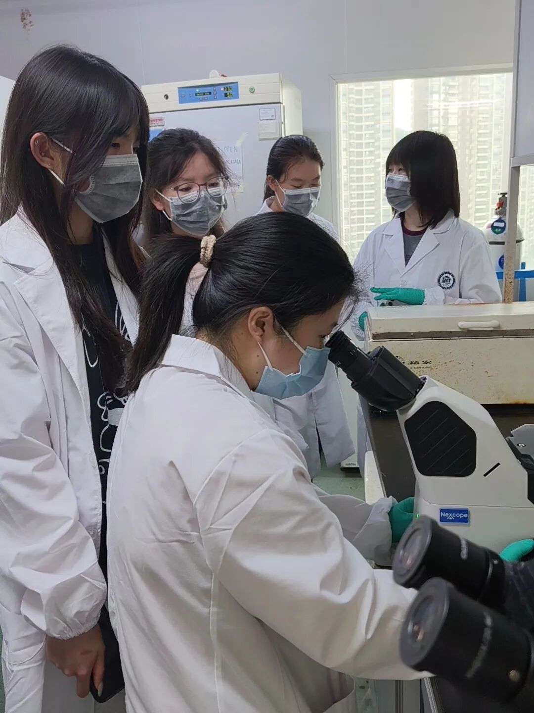 项目反馈 | 多肽的化学合成与生物活性研究 项目反馈 | 多肽的化学合成与生物活性研究