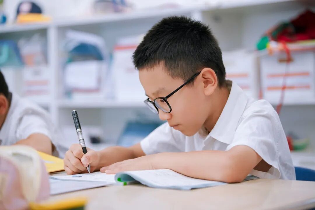 课程解读|上海德闳小学3-5年级英语:不止于语言,用英文看见更大的世界