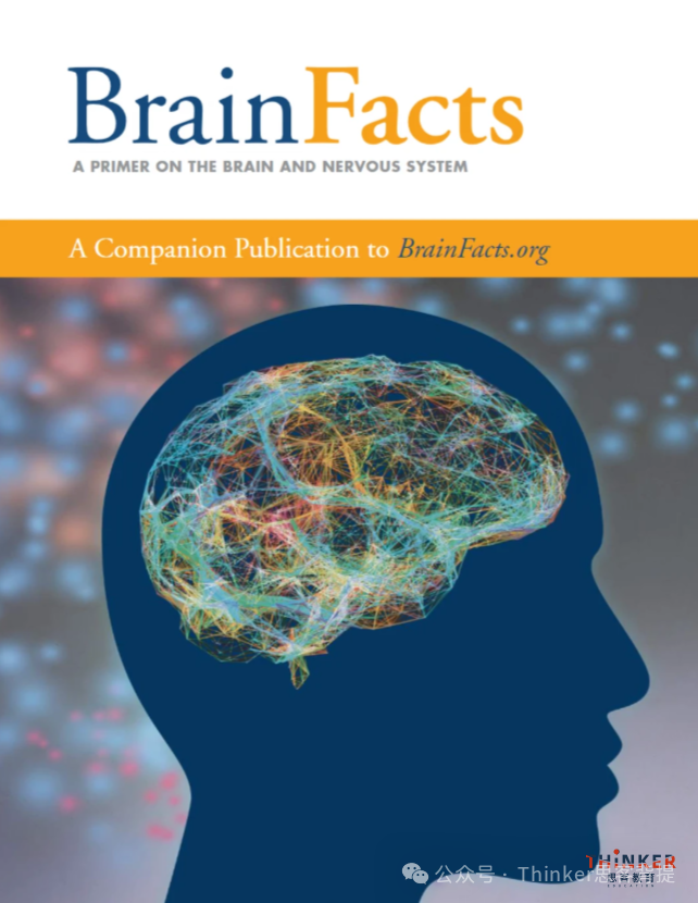 2027BrainBee地区赛提前,附BrainBee官方推荐教材/考试内容/冲刺辅导