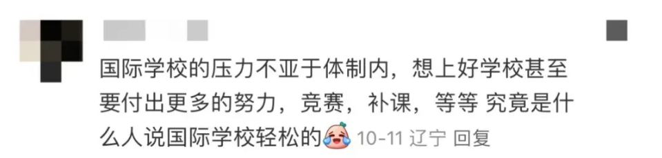 在沪上TOP国际学校就读,是种什么样的体验? 在沪上TOP国际学校就读,是种什么样的体验?