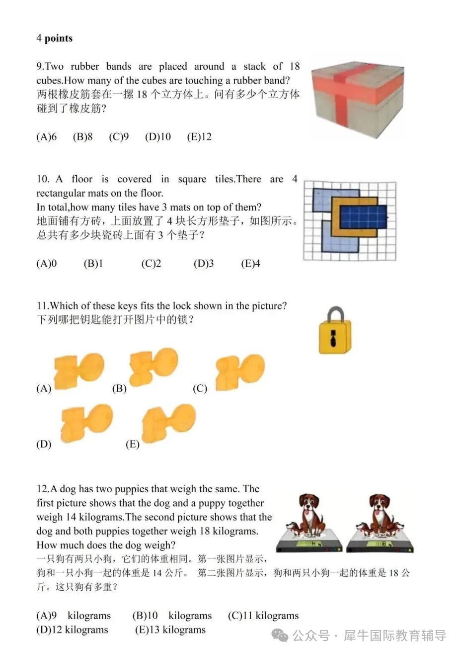 10.2 2027 袋鼠数学竞赛报名开启!报名方式、备考攻略、配套培训课一文全解